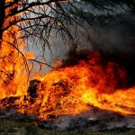 Crooks Fire near Arlee still raging